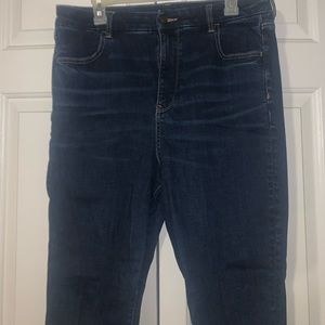 American Eagle Jeans Size 16 Short New Without Tags
